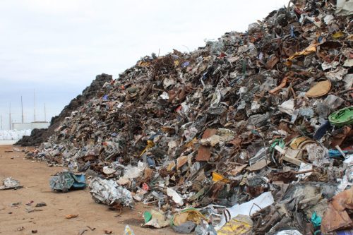 BELLINGSHAUSEN-Image-3-JG