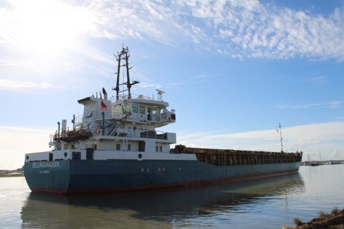 BELLINGSHAUSEN-Image-6-JG